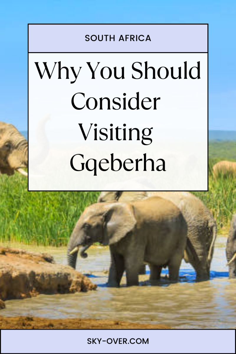 Why You Should Consider Visiting Gqeberha, South Africa