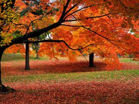 Best Places to See Fall Foliage in Massachusetts