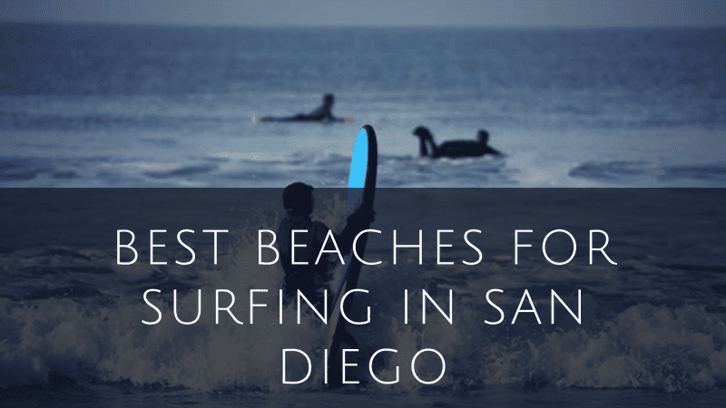 Best Beaches For Surfing in San Diego