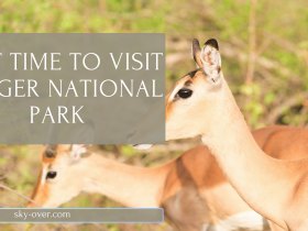 Best Time to Visit Kruger National Park